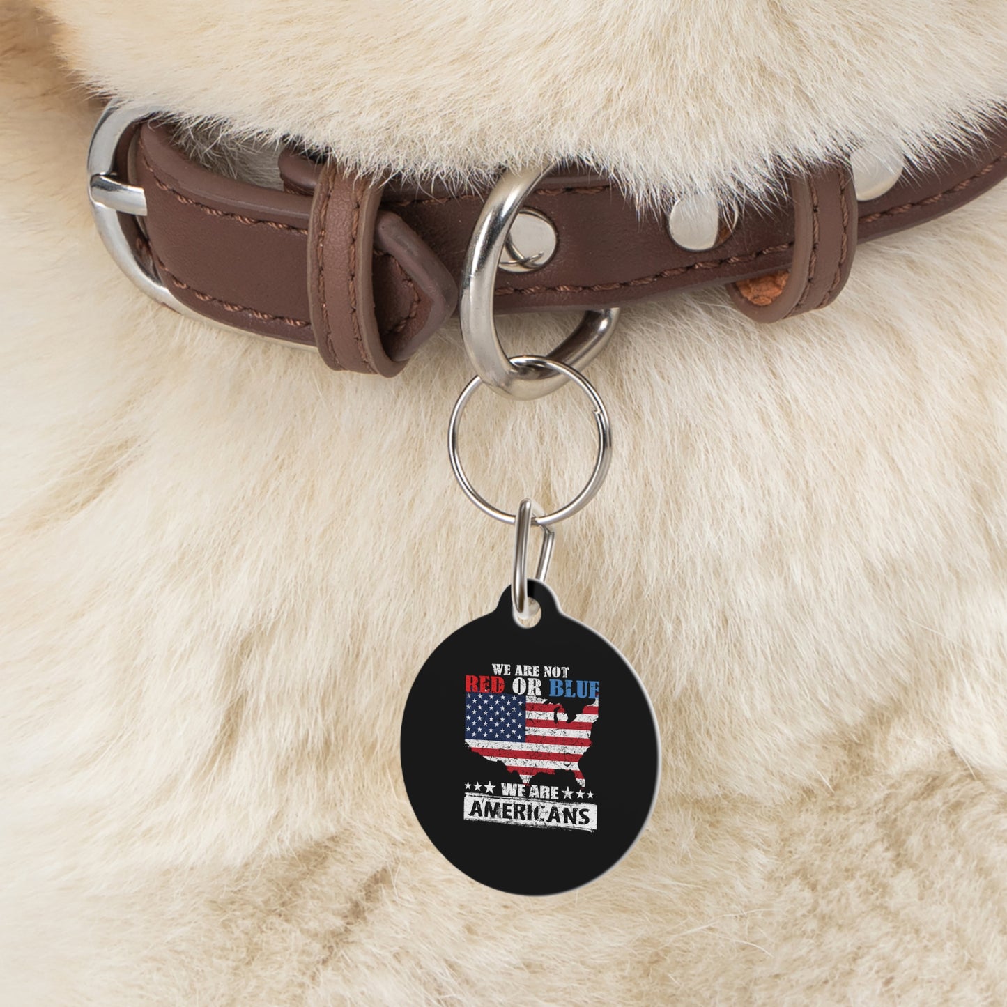 Pet Tag